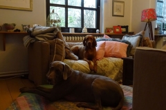 Wohnzimmer_belebt