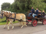 Sommerfest 2016